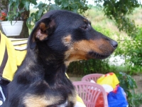 Zera