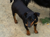 Zera