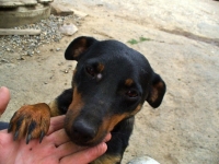 Zera