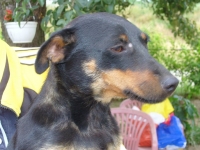 Zera