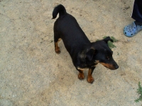 Zera
