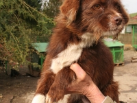 Peki