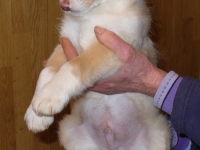 Bili