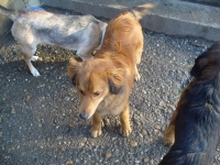 Milko